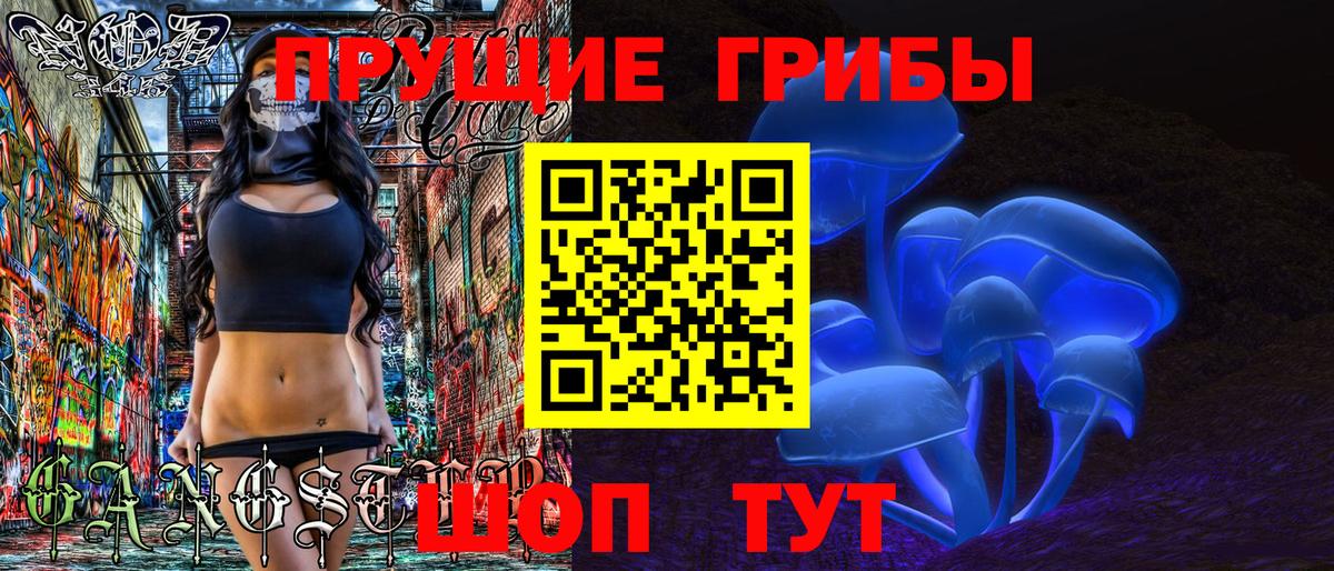 Чехов  Псилоцибиновые грибы GOLDEN TEACHER  Вход с VPN  Галлюциногенные грибы Cubensis 